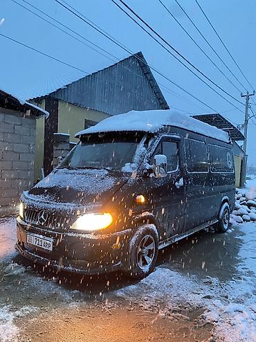 Mercedes-Benz: Mercedes-Benz Спринтер: 2002 г., 3 л — 10