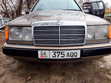 Mercedes-Benz: Mercedes-Benz W124: 1989 г., 2.3 л, Механика, Бензин, Седан — 1