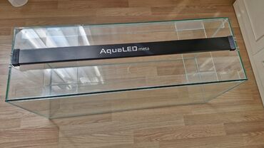 akvarium baliq: AQUALED META full spectrum 80sm 85/95 sm akvariumlar üçün uyğundur