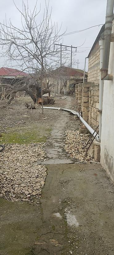 Torpaq sahələrinin satışı: Tikinti -da lalafo.az — 8 Torpaq sahələrinin satışı: Tikinti — 8