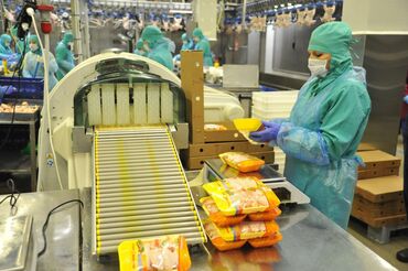 работа печатать тексты на дому: Требуется Упаковщик, Оплата Дважды в месяц, Без опыта