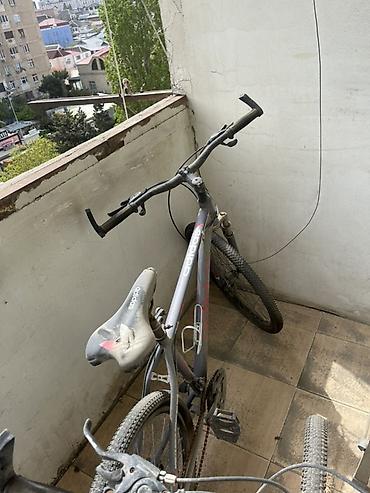 İdman velosipedləri: Şəhər və yüngül off-road üçün universal velosiped. Xüsusiyyətlər: - — 3