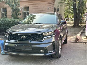 куплю автомобиля: Kia Sorento: 2021 г., 2.2 л, Автомат, Дизель, Кроссовер