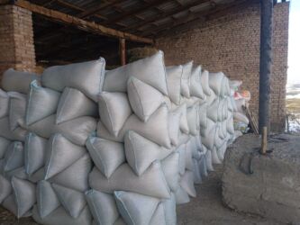 сколько стоит собака породы доберман: Кукуруза в мешках больше 25тон оптом. 21.5сом