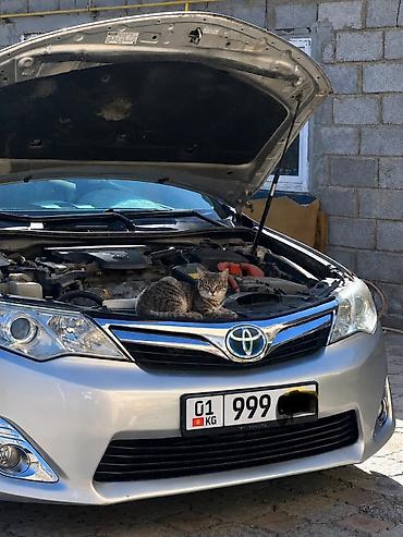 runx alex: Toyota Camry: 2012 г., 2.5 л, Автомат, Бензин, Седан — 6