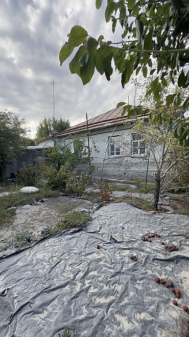 23: 7 соток, Для строительства, Красная книга, Тех паспорт, Договор дарения — 5