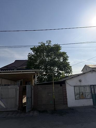 Декоративные цветы: Одтам даром дерево самовызов — 3
