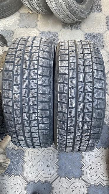 50: Шины 205 / 50 / R 16, Зима, Б/у, Пара, Легковые, Япония, Dunlop — 1