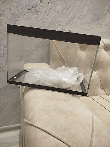 akvarium bitkisi: Akvaryum şüşə çən - Material: qalın şüşə, küncləri və üst-altar — 2