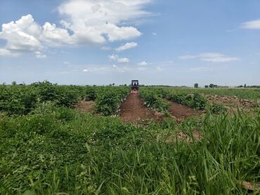 Мини-тракторы Lovol: СРОЧНО СРОЧНО ПРОДАЮ Мини Трактор Ловол 354 для сельскохозяйственных — 13