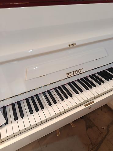 mekteb çanta: PETROF upright pianino – klassik Avropa səsi və müasir dizaynın — 4