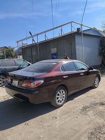 camry universal: Toyota Windom: 2003 г., 3 л, Автомат, Газ, Седан — 5