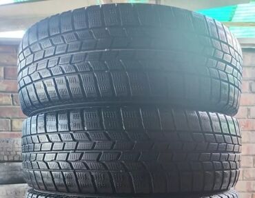 донголок 15 65 195: Шиналар 195 / 65 / R 15, Кыш, Колдонулган, Жуп, Жапония, Dunlop