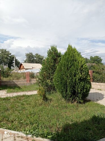 пруд аренда: Здаю кафе и гостиницу на Иссык куле