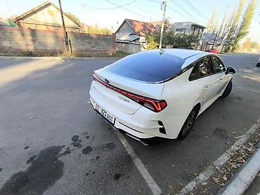 Kia: Kia K5: 2020 г., 2 л, Автомат, Газ, Седан — 2