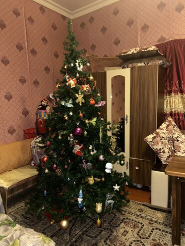 profil ucun dini şəkillər: Yeni il ağacı 2metreden yuksekdir oyuncaqsiz satilir oyuncaqlari coxdu