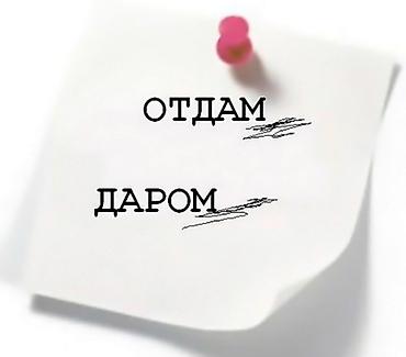Дрова отдам даром 2мешка