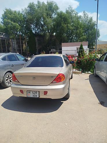 кия сефия: Kia Spectra: 2010 г., Механика, Бензин, Седан — 2