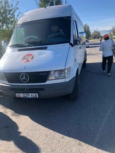 Легкий грузовой транспорт: Легкий грузовик, Mercedes-Benz, Стандарт, 3 т, Б/у