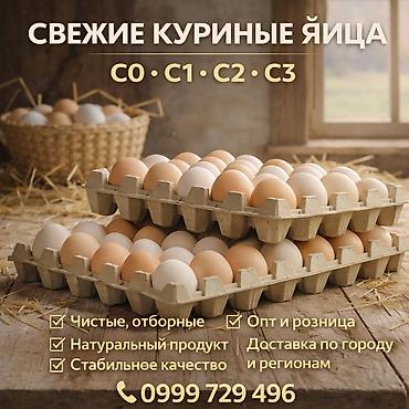 сыр экстра: 🥚 Свежие куриные яйца Категории в наличии: С0 • С1 • С2 • С3 ✔️ — 1