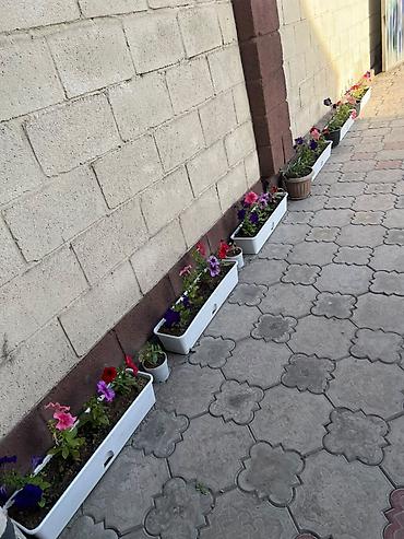 Үй сатып алам: 120 м², 4 бөлмө, Кондиционер, Забор, тосулган — 3