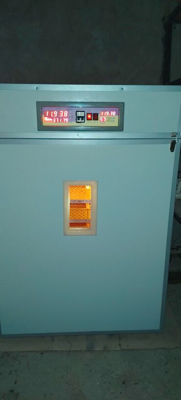 İnkubatorlar: 1100 yumurta, Çin, Tam avtomat — 4