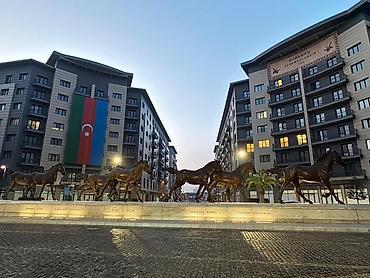 carpayilarin satisi: Ağ şəhər, 4 otaqlı, Yeni tikili, 163 kv. m — 3