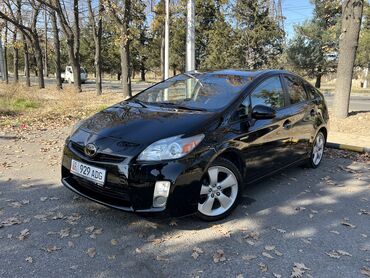 тоета ипсум: Toyota Prius: 2011 г., 1.8 л, Гибрид, Хэтчбэк