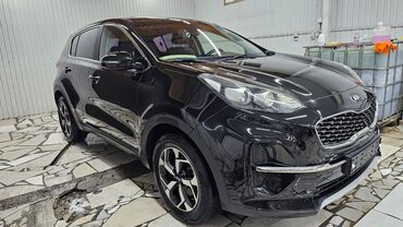 Kia: Kia Sportage: 2019 г., 2 л, Автомат, Дизель, Кроссовер