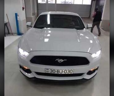 Ford: Ford Mustang: 2.3 л | 2015 г. | 177777 км Купе