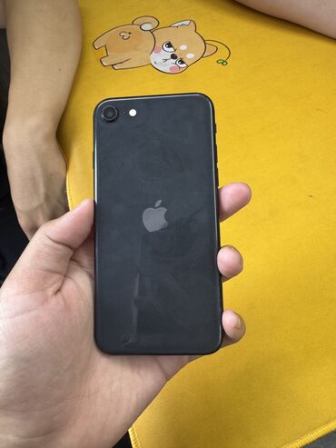 айфон 14 про макс цена бишкек 512 гб: IPhone SE 2020, Б/у, 128 ГБ, Черный, 77 %