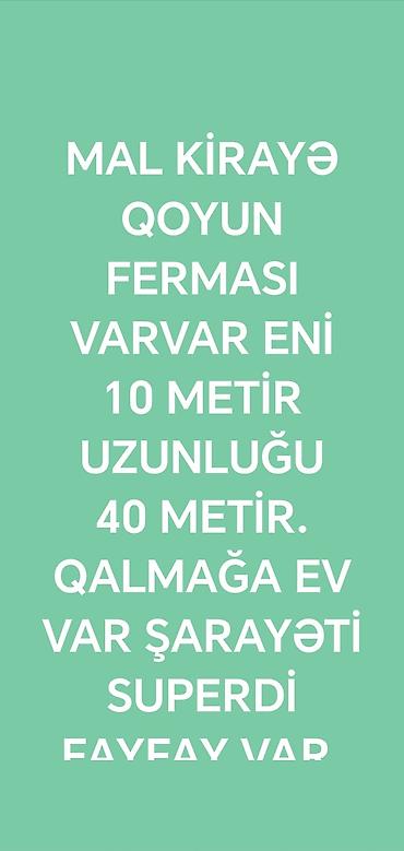 corey sexi: Kiralık mal-qoyun ferması - Sahə ölçüləri: eni 10 metr, uzunluğu 40 — 1