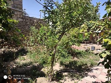 Həyət evləri və villalar: Ramana qəs. 8 otaq, 200 kv. m, Kredit yoxdur, Yeni təmirli — 8