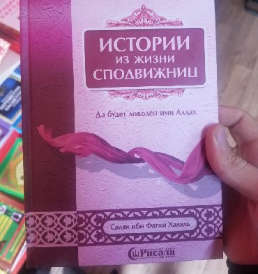 Картинки из жизни сподвижниц книга