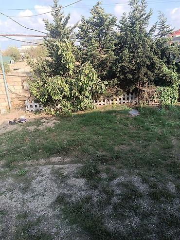 баку пос баладжары квартира: 2 otaqlı həyət evi pirşağı - Plan: geniş zal, ayrıca yataq otağı — 9