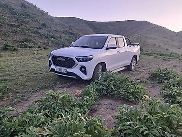 водный банан: BAW : 2022 г., 2.5 л, Механика, Бензин, Пикап — 1