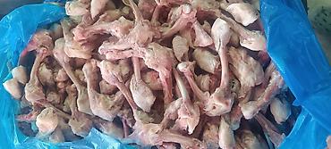 тушки кур: Продаю бройлерные мясные куриные трубчатые кости по 20 сом за кг — 1