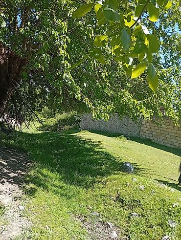 Torpaq sahələrinin satışı: 38 sot, Mülkiyyətçi, Kupça (Çıxarış) — 17