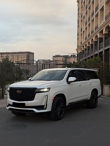 аули 80: Cadillac Escalade: 2021 г., 6.2 л, Автомат, Бензин, Внедорожник — 2