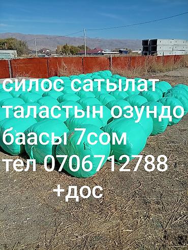 аквариумные рыбки каталог цены: Силос в рулонах - Упакованные тюки силоса (зелёная стрейч‑плёнка) — 1