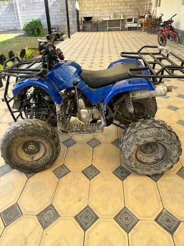 Квадроциклы: Квадроцикл Honda, Бензин, 110 куб. см, Взрослый