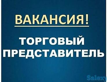 Вакансия: Торговый представитель, ЗП договорная Описание: - Поиск и