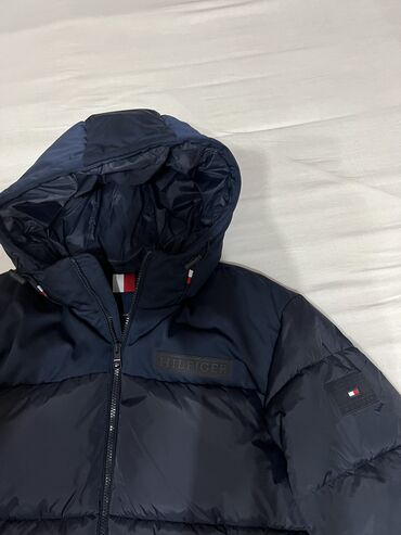 gace sa steznikom: Tommy Hilfiger, L (EU 40), Single-colored, With lining