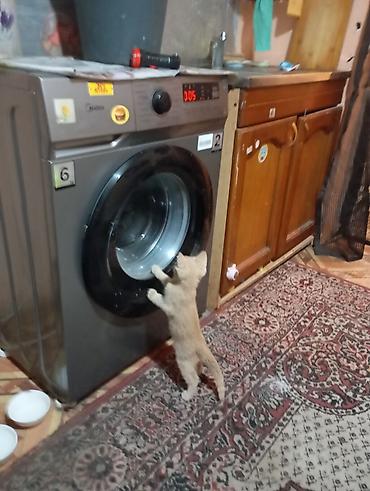 kitten: Отдам котенка в хорошие руки. Мальчик 3 месяца игривый прикольный — 2