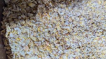 Кормодробилки: Плющилка для зерна однофазные и трёхфазные . Делаю на заказ at lalafo.kg — 6 Кормодробилки: Плющилка для зерна однофазные и трёхфазные . Делаю на заказ — 6