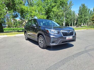 Subaru: Subaru Forester: 2019 г., 2.5 л, Автомат, Бензин, Кроссовер