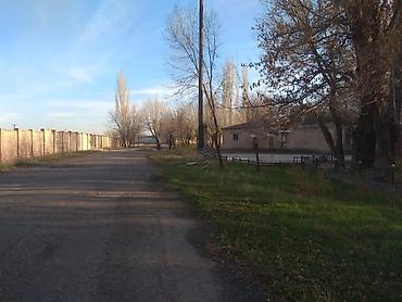 участки кызыл ту: С оборудованием, 7000 м² — 5