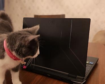 acer notbuk: İşlənmiş Acer Nitro, 12 ", Intel Core i7, < 128 GB, Ünvandan götürmə — 2