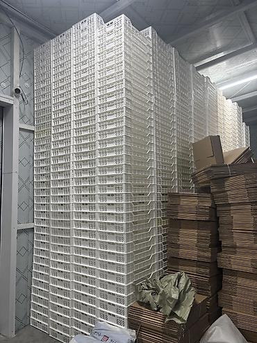 бытовка цена: Ящик пластиковый ягодный 600 × 400 × 100 мм, перфорированный 200 сом — 1