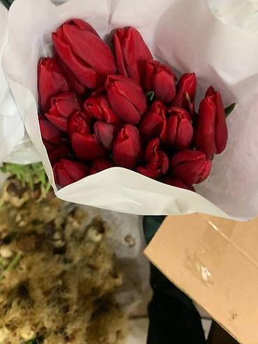 Букеты из живых цветов: В оптомв розницу — 6